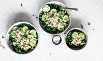 Vegetable